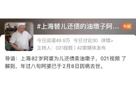 博尔塔拉为什么选择专业追讨公司来处理您的债务纠纷？